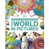 Our World in Pictures