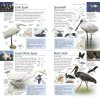 RSPB Pocket Birds of Britain and Europe 2