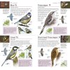 RSPB Pocket Birds of Britain and Europe 3