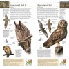 RSPB Pocket Birds of Britain and Europe 4