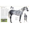 The Horse Encyclopedia 3