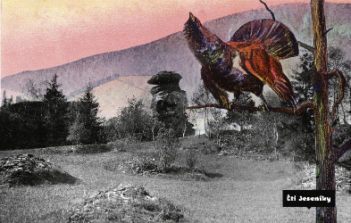 Co se čtenářům líbí na publikaci Čti Jeseníky?