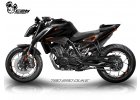 KTM 890 790 DUKE