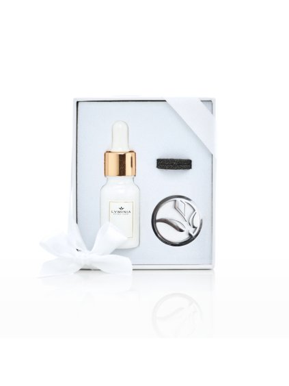 LUMINIA car diffuser silver