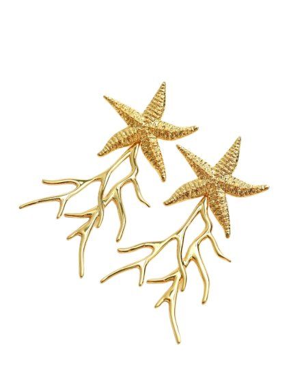 Earrings - Coral