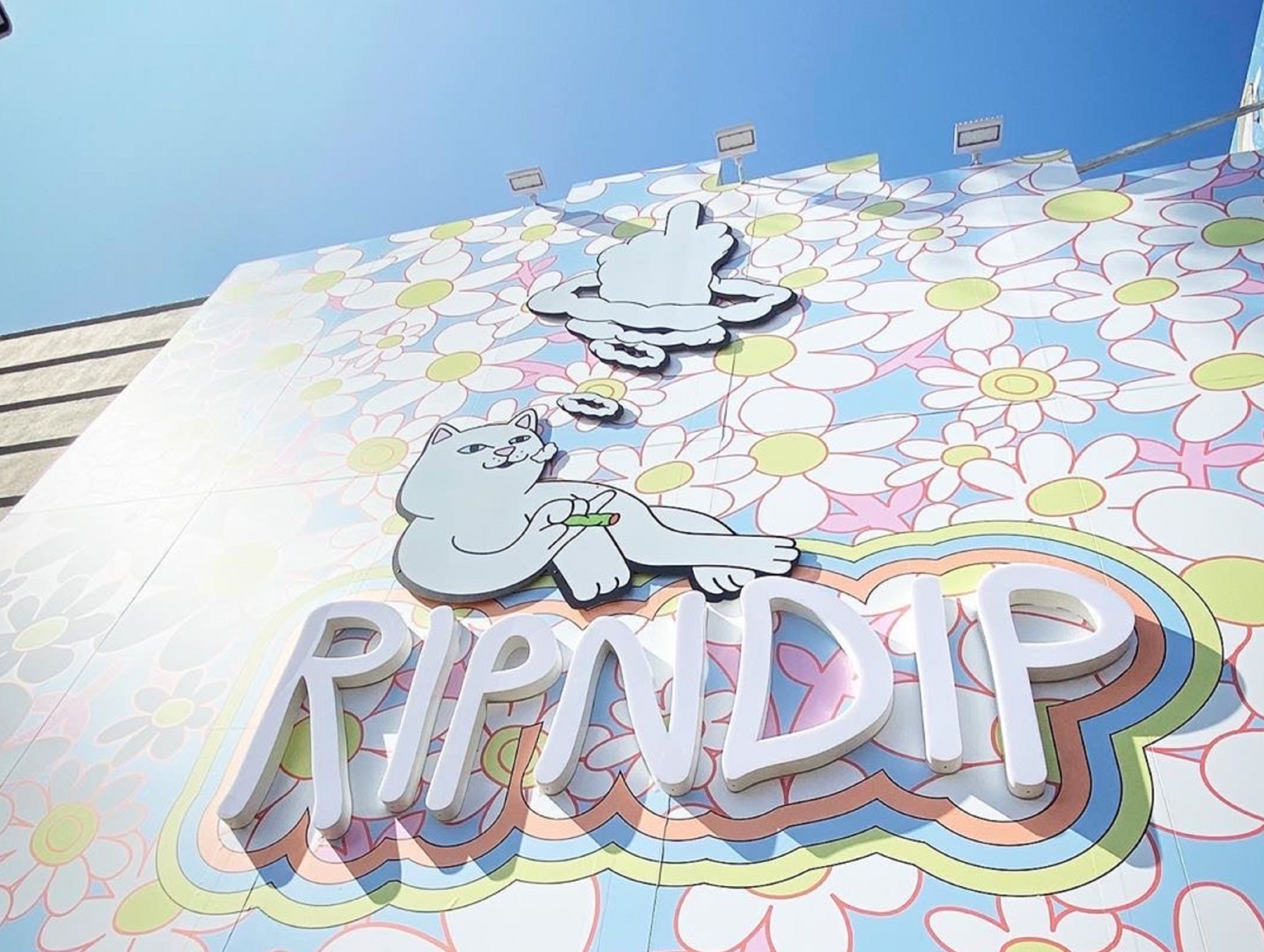 RIPNDIP Spring 20 Drop 1 je online!