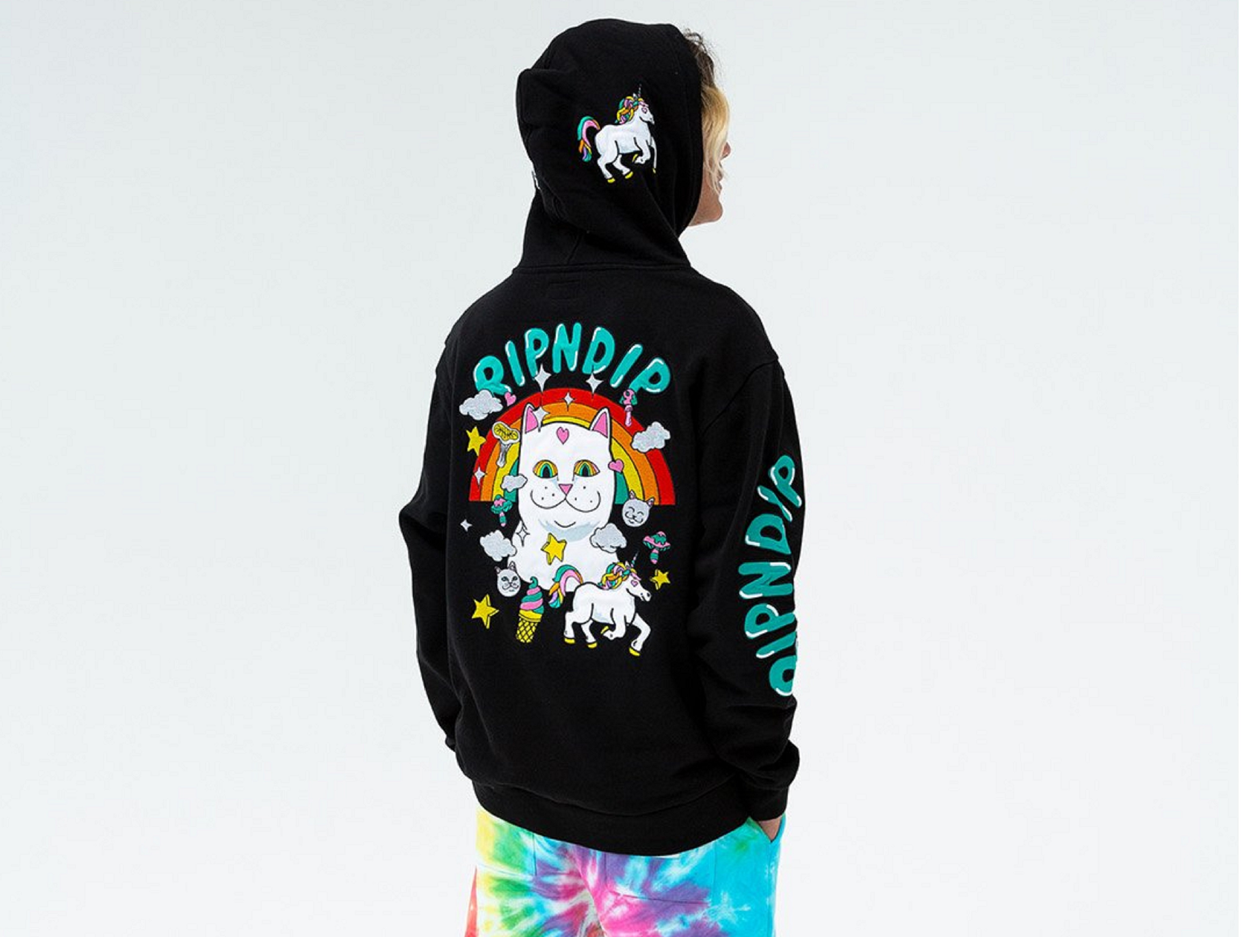 RIPNDIP Fall 2019 je online!
