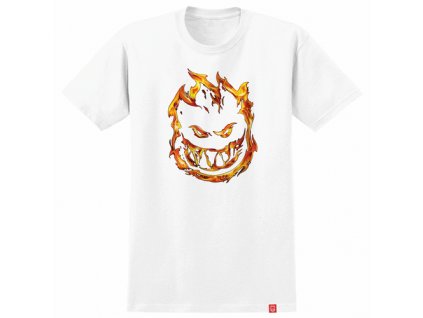 51010546G 57733.1637099219