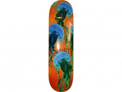 27485 final orange 1024x1024 2x