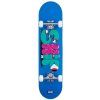 skip skateboard3