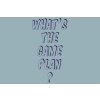 161 WHAT'S THE GAME PLAN 02