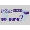 177 What MAKES YOU so sure 2