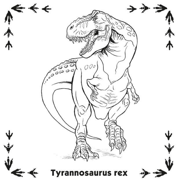 JiriModels Pexeso v zošite Dinosaury