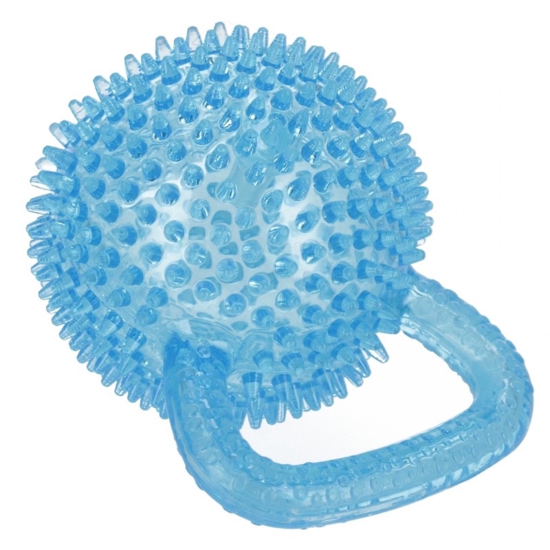 CreativeToys Lopta pre psa s úchytom modrá