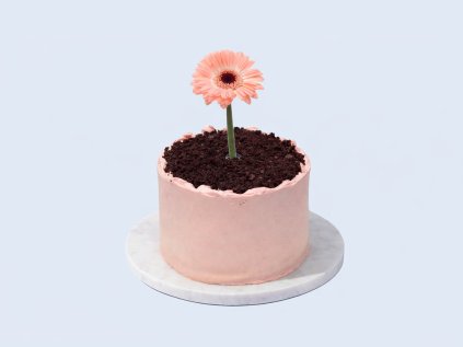 bloom cake torta s gerberou cukrári.sk