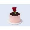Bloom Cake bratislava