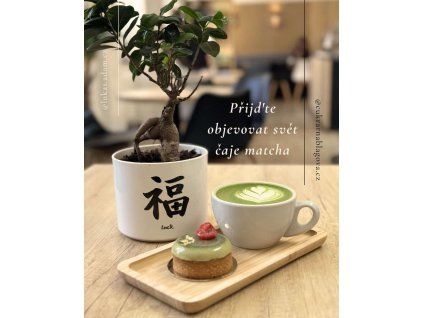 matcha 5