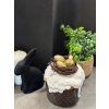 Пасхальный кулич с гнездом