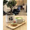 matcha 5