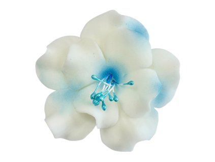 Magnólia - 8 cm