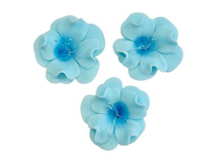 magnolie