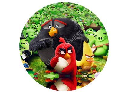 angry bird 13
