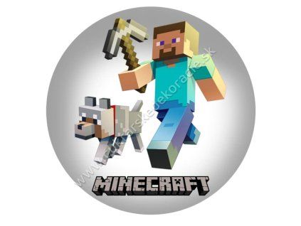 minecraft 05