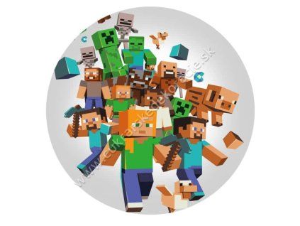 minecraft 08