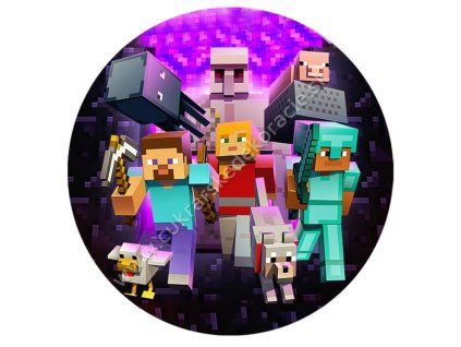 minecraft 11