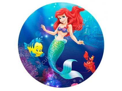 ariel 24