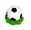 Futbalová lopta