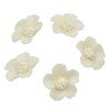 kvetyy (2)