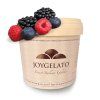 JoyPaste IRCA - Lesné ovocie 150 g