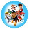 paw patrol 11