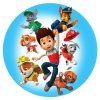 paw patrol 13