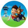 paw patrol 14