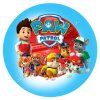 paw patrol 16
