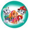paw patrol 20