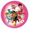paw patrol 10