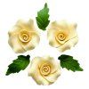 PhotoRoom 20230624 124045