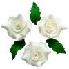 PhotoRoom 20230626 140835