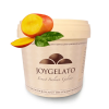 JoyPaste IRCA – Mango 150 g