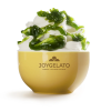 Joyfruit Lime Z7
