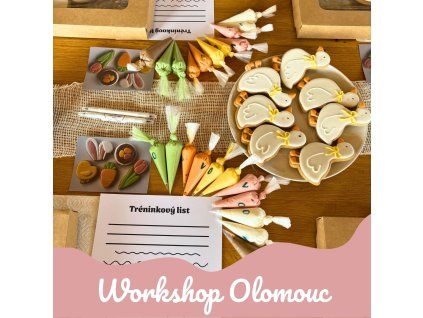 workshop-olomouc