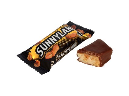 sunnyland1