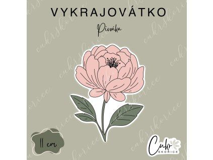 Pivoňka