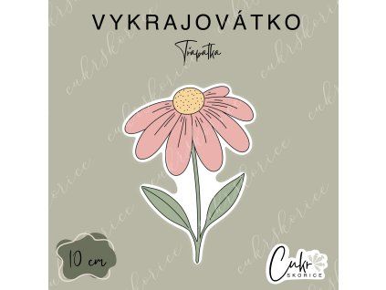 Třapatka