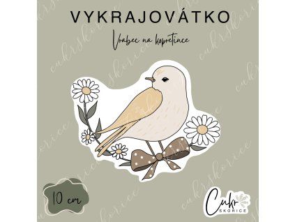 Vrabec na kopretince