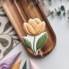 Otevřený tulipán