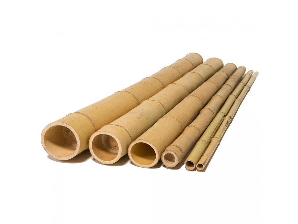 bambus tyč